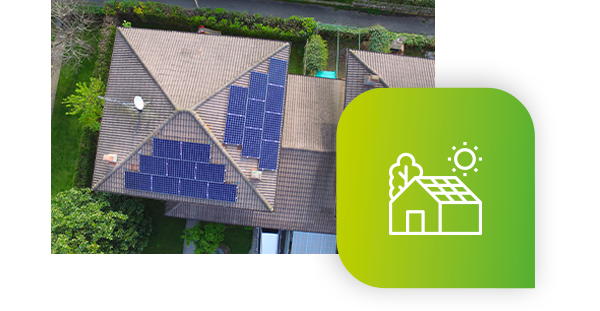 Rivoluzione verde (1)